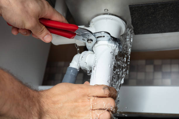 Best Flood damage cleanup  in Pine Knoll Shores, NC