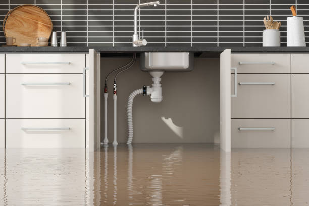 Professional Water damage restoration in Pine Knoll Shores, NC